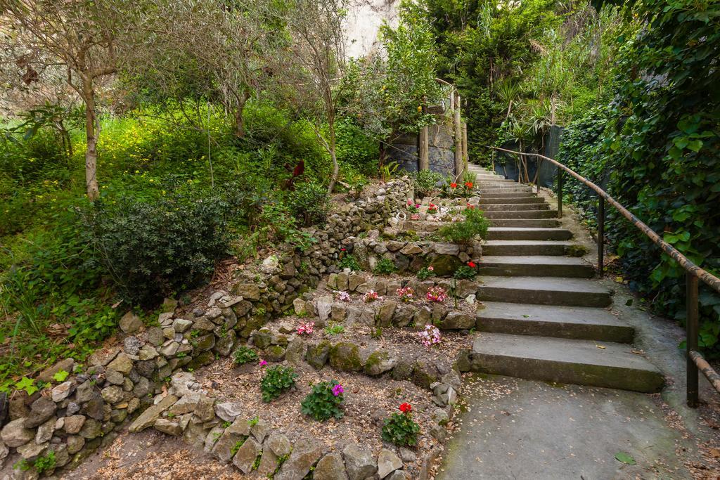 Nitrodi Experience Guest House Barano d'Ischia ภายนอก รูปภาพ