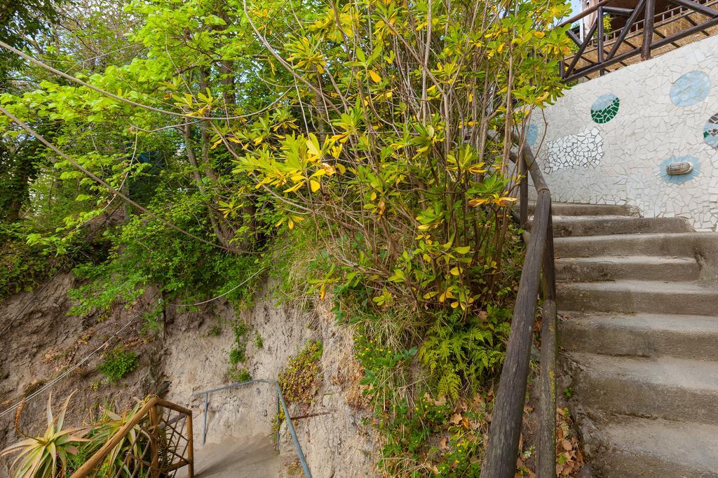 Nitrodi Experience Guest House Barano d'Ischia ภายนอก รูปภาพ