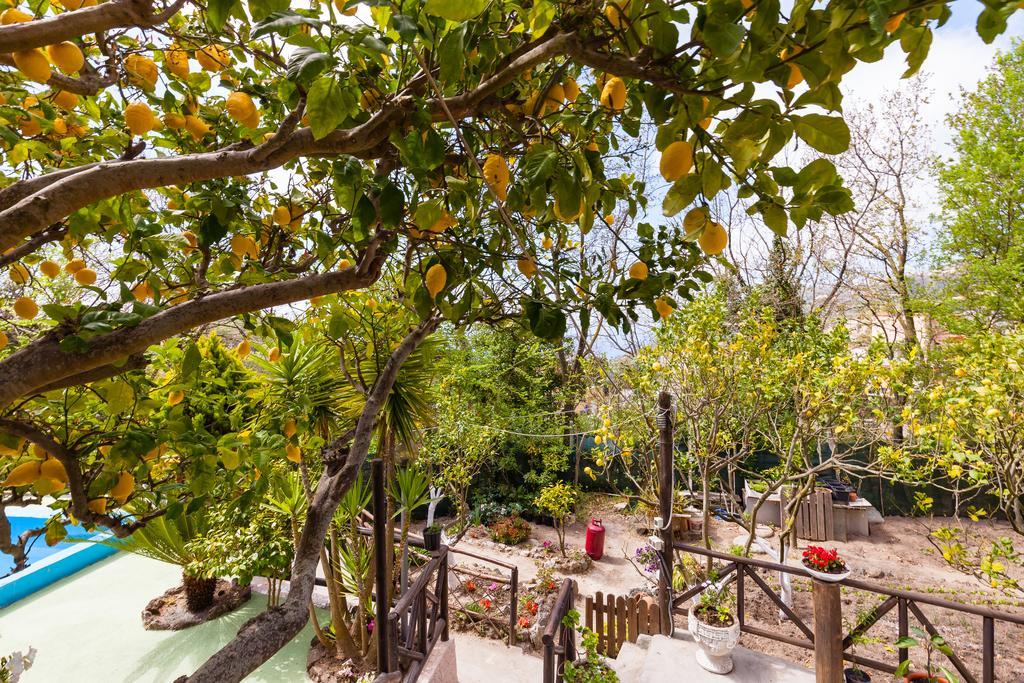 Nitrodi Experience Guest House Barano d'Ischia ภายนอก รูปภาพ