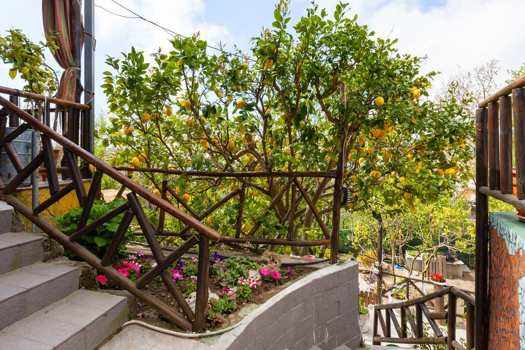 Nitrodi Experience Guest House Barano d'Ischia ภายนอก รูปภาพ